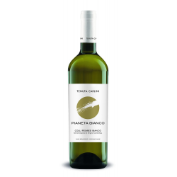 "PIANETA BIANCO" COLLI PESARESI DOC - Tenuta Carlini - (9 eur X 6 Bott)