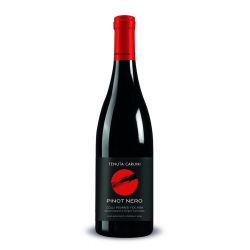 PINOT NERO COLLI PESARESI FOCARA DOC - Tenuta Carlini - (18 eur X 6 Bott)