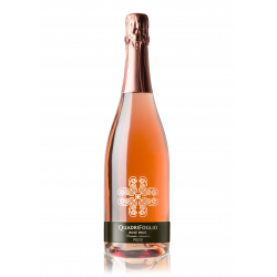 "QUADRIFOGLIO ROSE' BRUT" - Vino Spumante di Qualità -Pecis - (23 eur X 6 Bott)