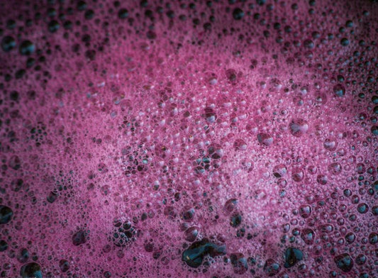 LA FERMENTAZIONE MALOLATTICA